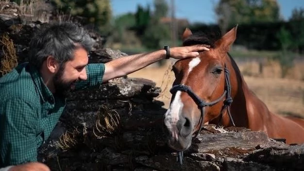 Cólicos en Caballos: Reconociendo los Síntomas y 12 Pasos para Tratarlos