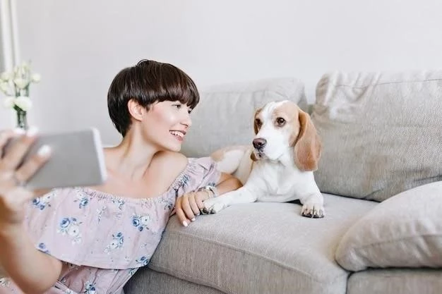 Cómo elegir el cachorro de Jack Russell perfecto