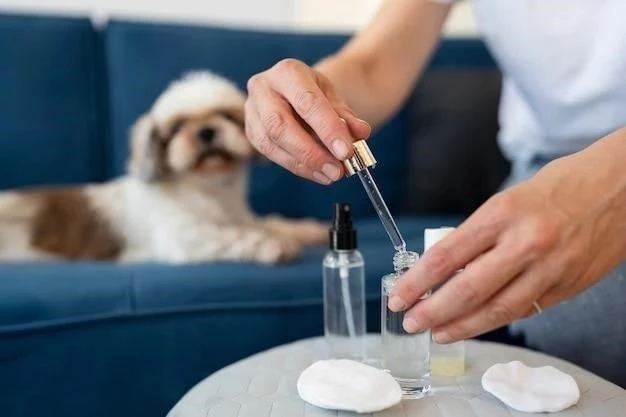 Cómo Administrar Gotas para los Ojos a tu Perro