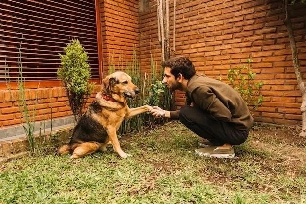 Ladridos de Perros: Cómo Resolver el Conflicto Vecinal