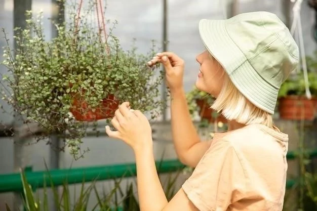 Cultivo de Cleome: Una guía completa para principiantes