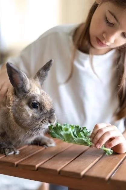 Guía Completa para Cuidar Conejos: Todo lo que Necesitas Saber