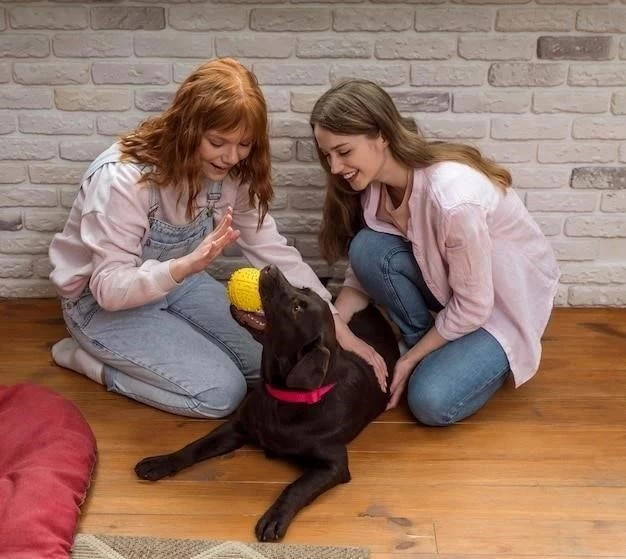 Integración de gatos y perros: Una guía paso a paso para la armonía en el hogar