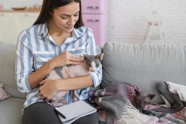 Cuidado de gatitos recién nacidos: Una guía completa