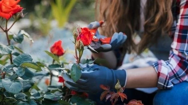 Cultivando Belleza: Una Guía Completa para Plantar Rosas