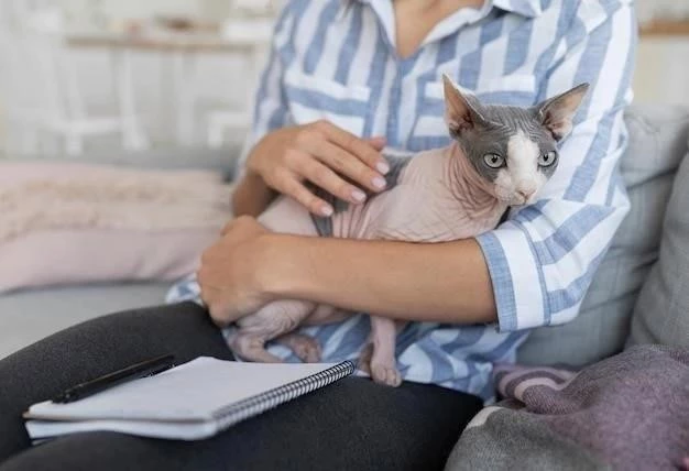 Depresión Felina: Reconociendo los Signos y Brindando Ayuda a tu Gato