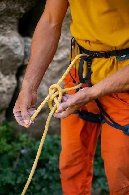 Ajustar la altura de las cuerdas de tu bajo: Una guía paso a paso