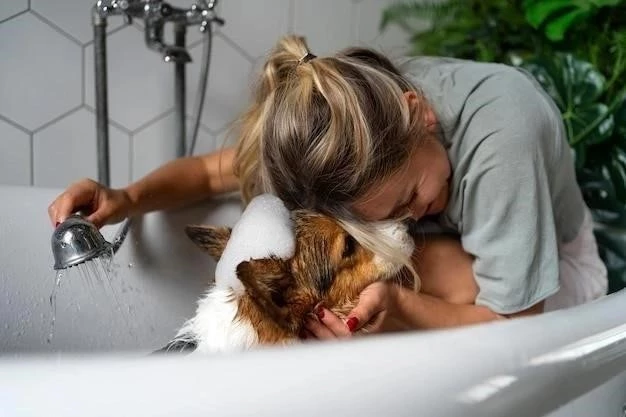 Bañar a tu perro sin estrés: Una guía paso a paso