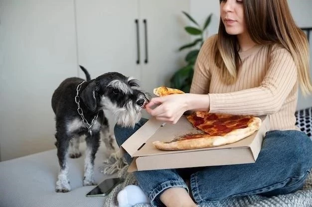 Alimentación del cachorro: Guía completa para una dieta saludable