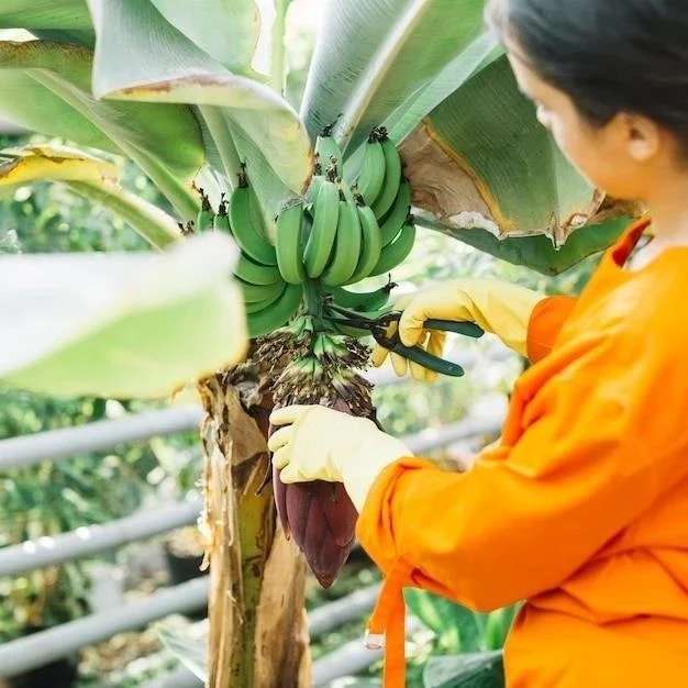 Cultivo de Plátanos: Una Guía Completa