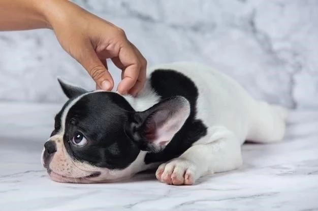 Cómo saber si tu cachorro tiene lombrices