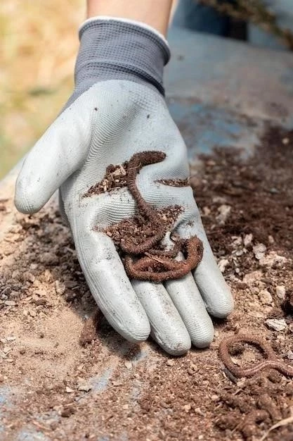 La recolección de lombrices de tierra: métodos y beneficios