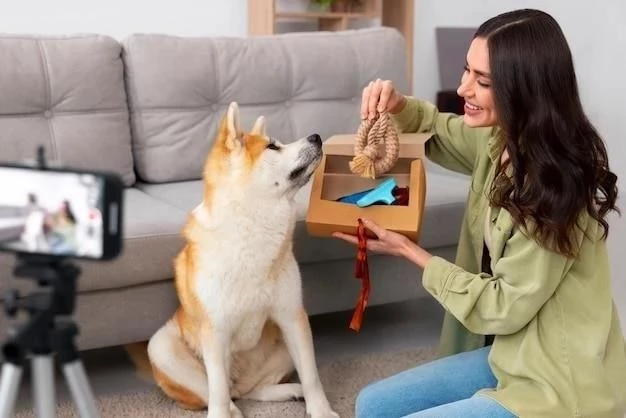 Cómo Ganarse la Confianza de un Perro: Una Guía Completa