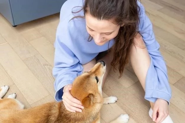 Cómo Detener la Lamida Excesiva en tu Perro