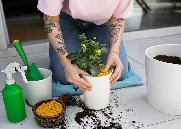 Cómo Lavar Macetas para Plantas: Guía Completa para un Crecimiento Saludable