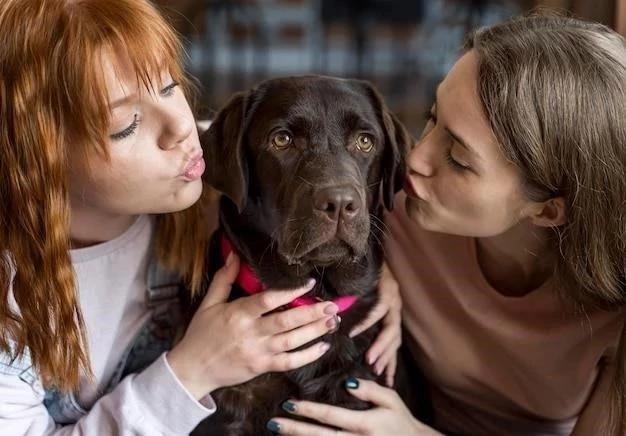 Identificación de Razas Caninas: Una Guía Completa