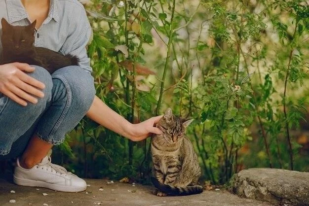 Guía Completa para Cuidar Serpientes como Mascotas