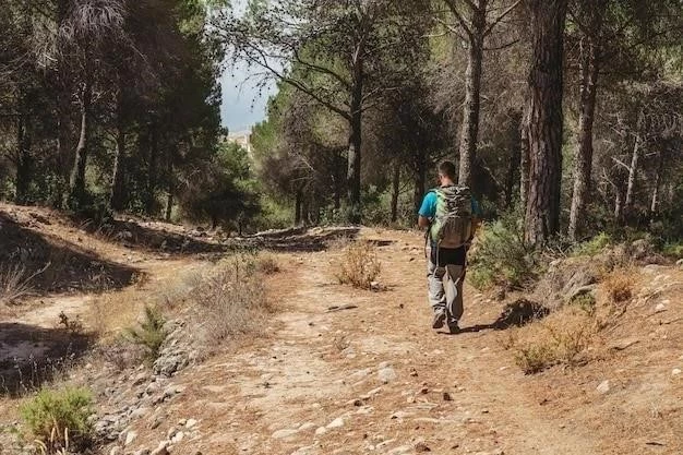 Construcción de senderos para bicicletas de montaña: una guía completa