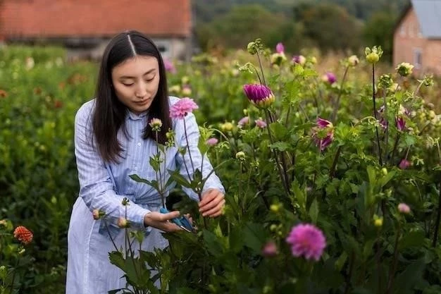 Cultivo de crisantemos: Una guía completa para disfrutar de sus flores