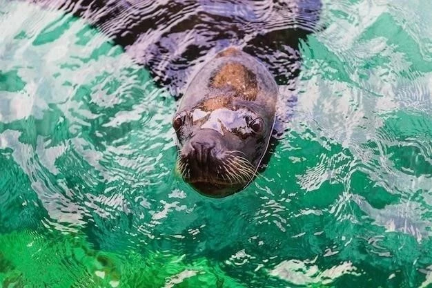 Guía completa para el cuidado de las tortugas acuáticas: 9 pasos esenciales