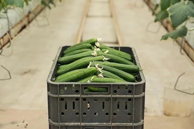 Cultivo de Pepinos Trepadores: Una Guía Completa