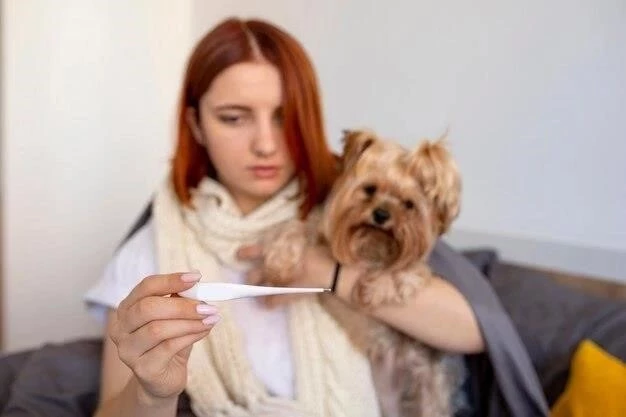 Cómo tomar la temperatura de tu perro