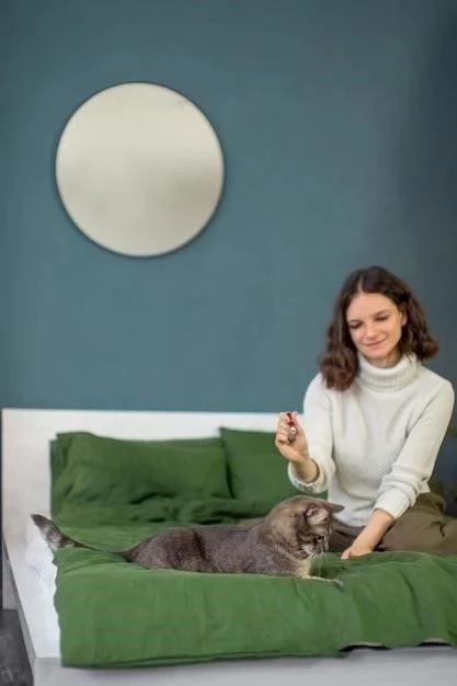 Cómo hacer una cama para gatos DIY