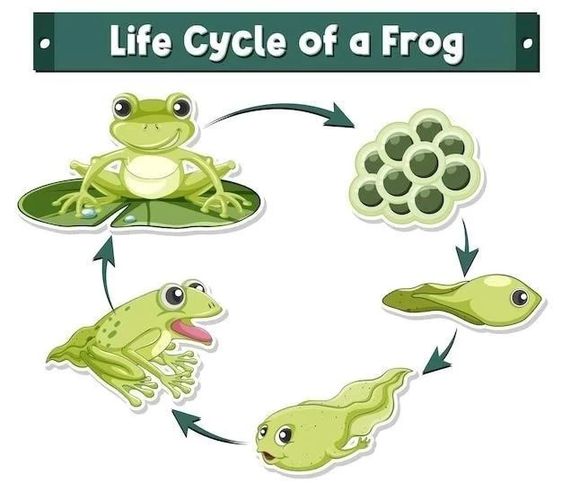 Guía Completa para la Crianza de Ranas