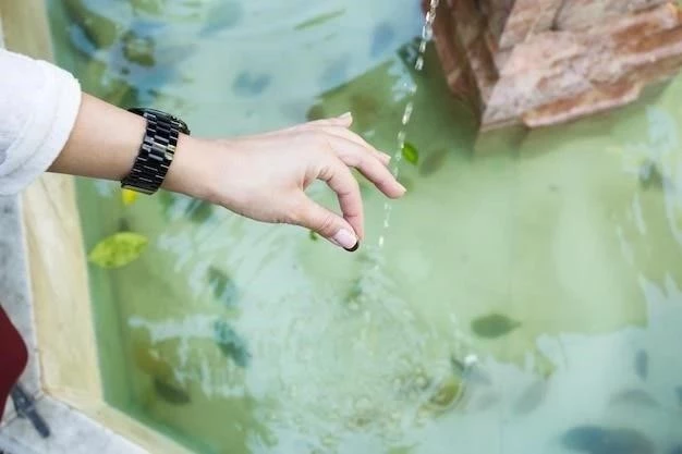 Cómo reducir los niveles de cloro en una piscina de agua salada