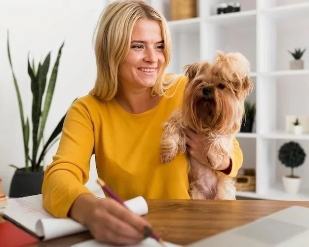 Guía Completa para Elegir un Cachorro de Yorkshire Terrier