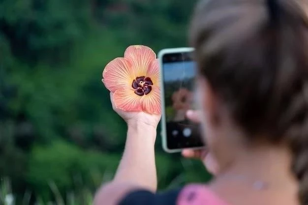 Cómo Capturar a Bagon en Pokémon Esmeralda