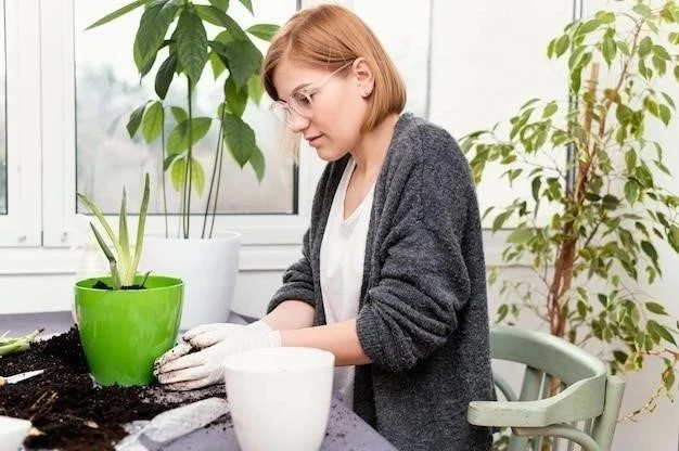 Cultivar jazmín en maceta: Una guía paso a paso