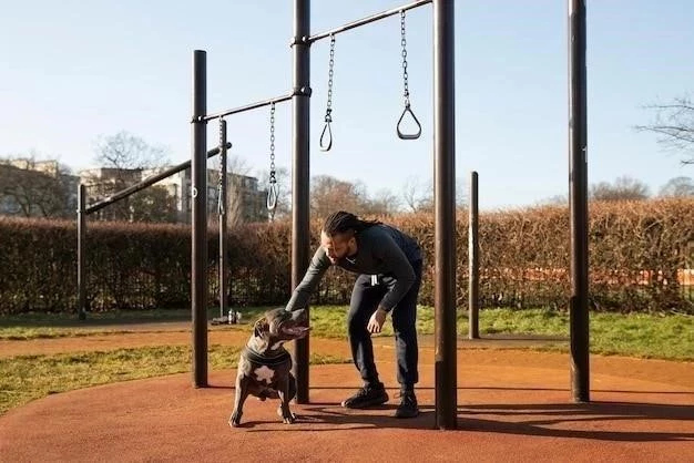 Entrenar a tu perro a que acepte su jaula o corral