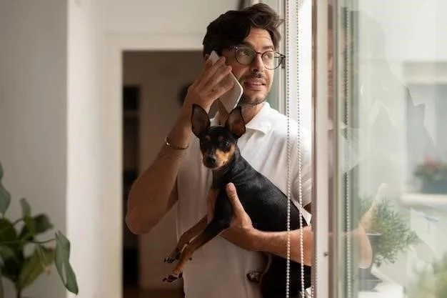 Cómo evitar que tu gato trepe por las cortinas