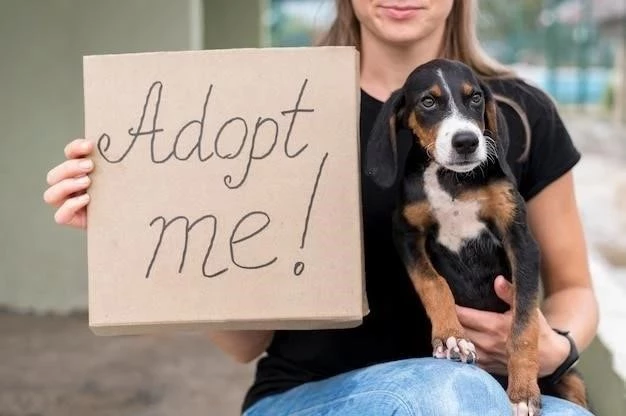 Cómo elegir el nombre perfecto para tu perro