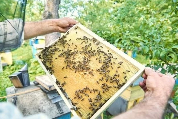 Cómo Deshacerse de las Abejas de Forma Segura y Efectiva