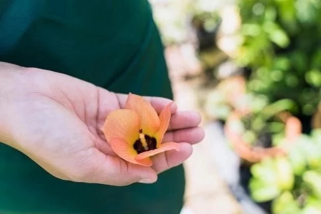 Fertilización de árboles frutales: una guía completa para un crecimiento y una cosecha óptimos