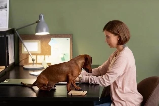 Guía Completa para el Cuidado de un Cachorro Beagle