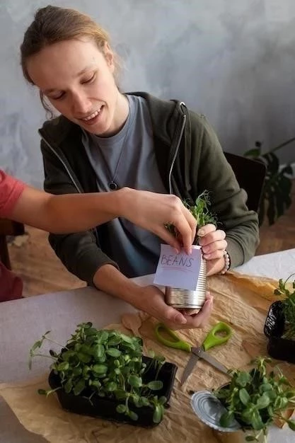 Cómo conservar el perejil fresco: guía completa para mantener su sabor y frescura