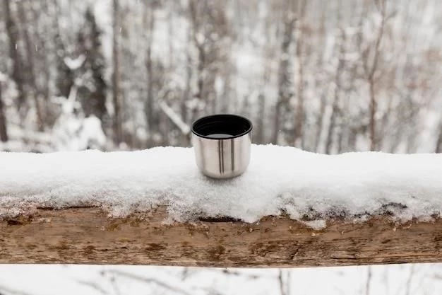 Proteja sus tuberías de agua del congelamiento en invierno