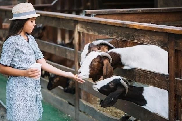 Tener una vaca como mascota: Guía completa para una experiencia inolvidable