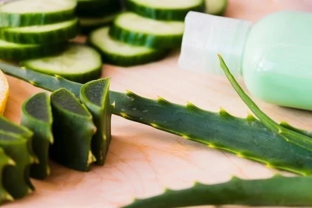 Aloe Vera para Quemaduras: Beneficios, Cómo Usarlo y Precauciones