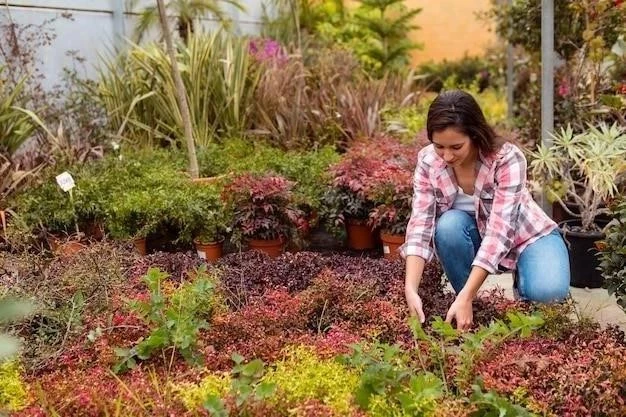 Cultivar Colinabo: Una guía paso a paso