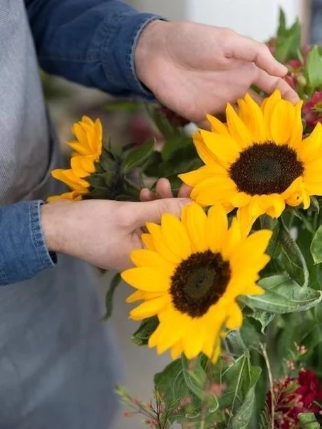 Guía Completa para el Cuidado de los Girasoles: 6 Pasos Esenciales