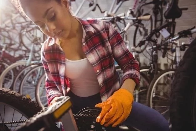 Cómo limpiar el óxido de la cadena de una bicicleta en 14 pasos