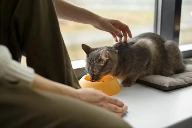 Alimentando a un gatito enfermo: Guía completa para el cuidado nutricional