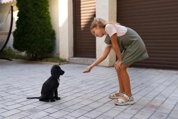 Cómo vendar la cola de un perro