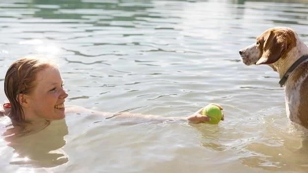 Cómo enseñar a nadar a los niños: 14 pasos esenciales