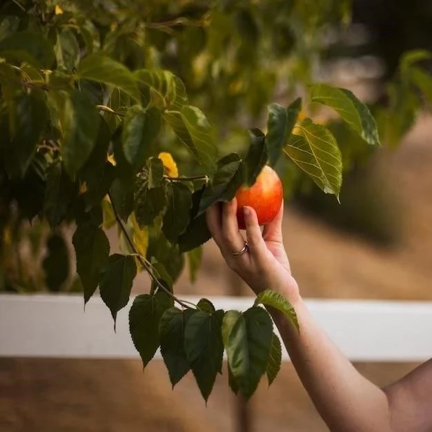 Cultivar un árbol de naranja a partir de una semilla