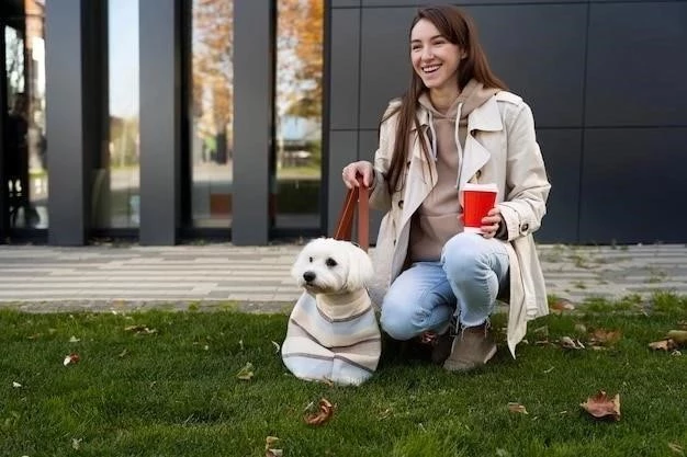 Cómo evitar que tu perro orine en casa después de un paseo